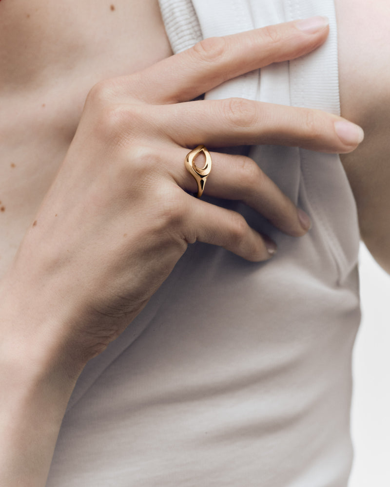 Anello Brise