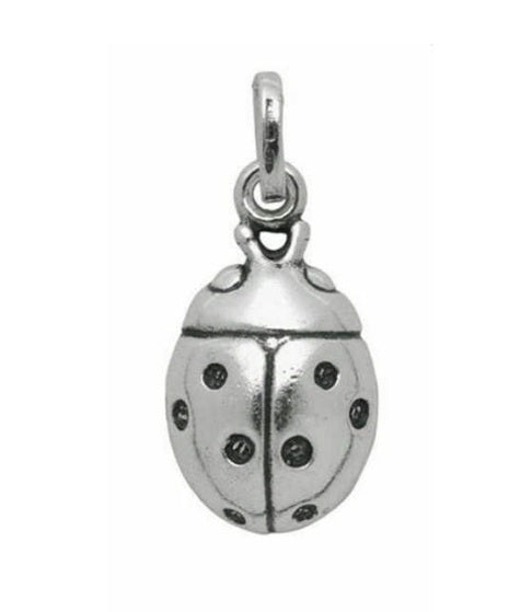 Large Coccinella Charm