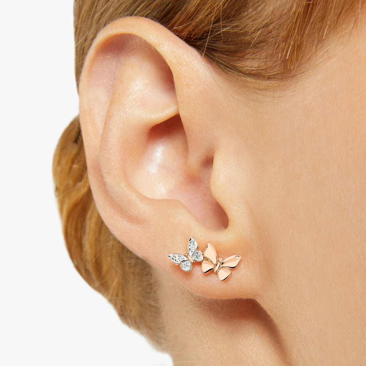 Dado Earrier Precious SX