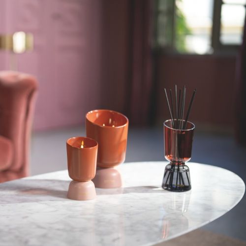 Profumatore a bouque ricaricabile 250ml Iris Cachmire-esteban-Gioielleria Granarelli