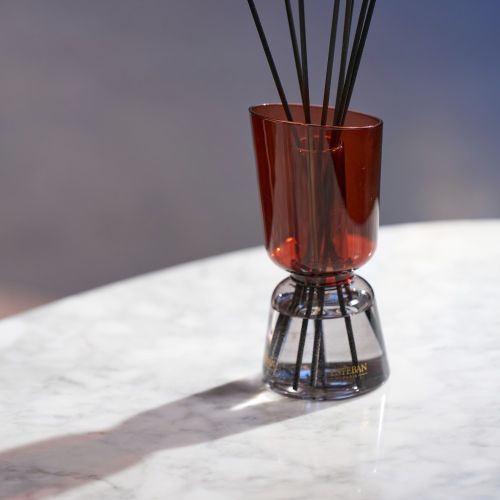 Profumatore a bouque ricaricabile 250ml Iris Cachmire-esteban-Gioielleria Granarelli