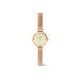Petite Mini Champagne Melrose 19 mm-Orologi-DANIEL WELLINGTON-Gioielleria Granarelli