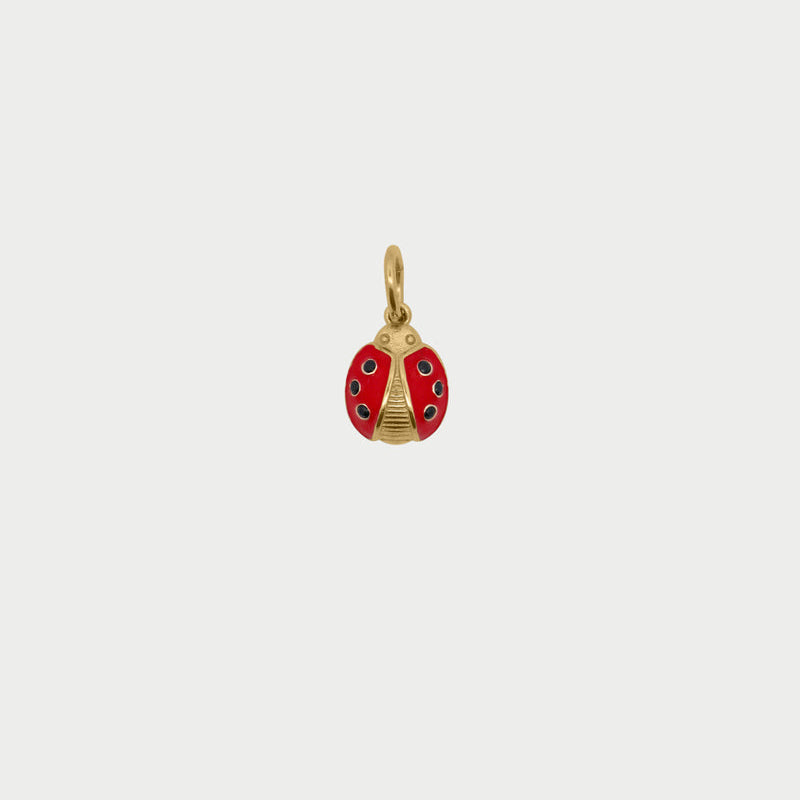 Charm Coccinella