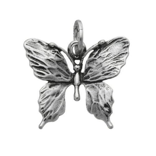 Charm-Buchstabe V-Logo
