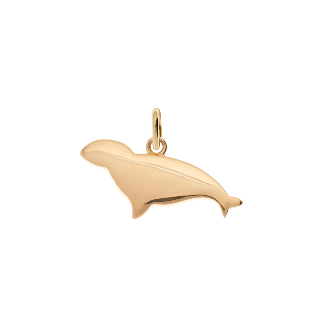 Charm Dodo Foca grande