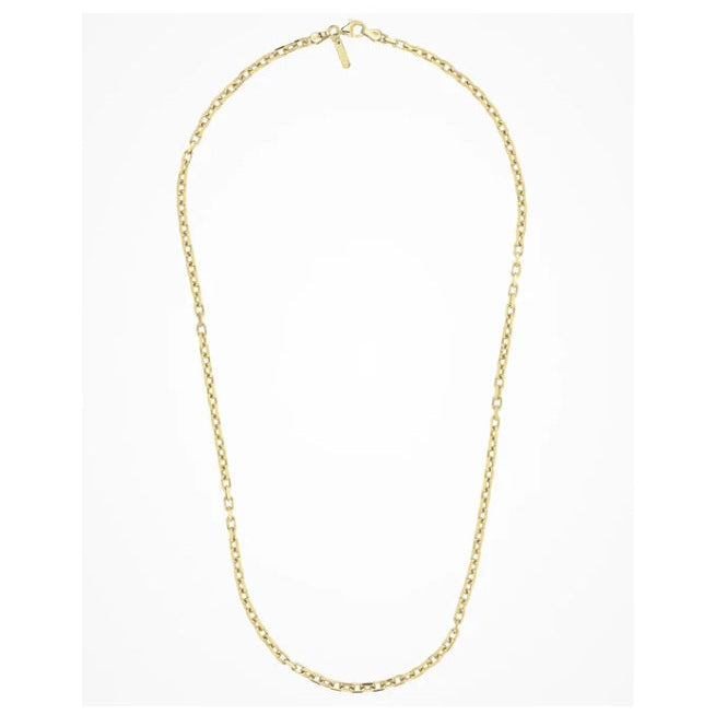 Collana in Argento Forzata Dorata