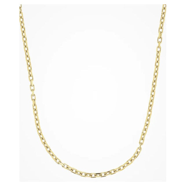 Collana in Argento Forzata Dorata