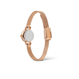 Petite Mini Champagne Melrose 19 mm-Orologi-DANIEL WELLINGTON-Gioielleria Granarelli