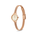Petite Mini Champagne Melrose 19 mm-Orologi-DANIEL WELLINGTON-Gioielleria Granarelli